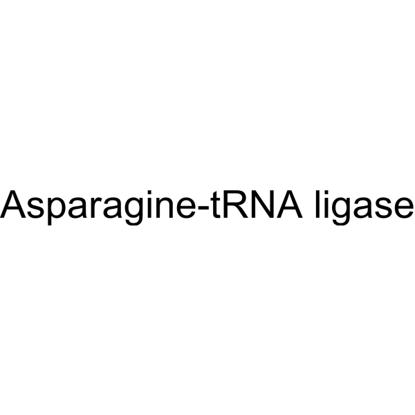 Asparagine-tRNA ligase 37211-76-0